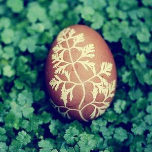 森女的复活节彩蛋的做法 步骤6