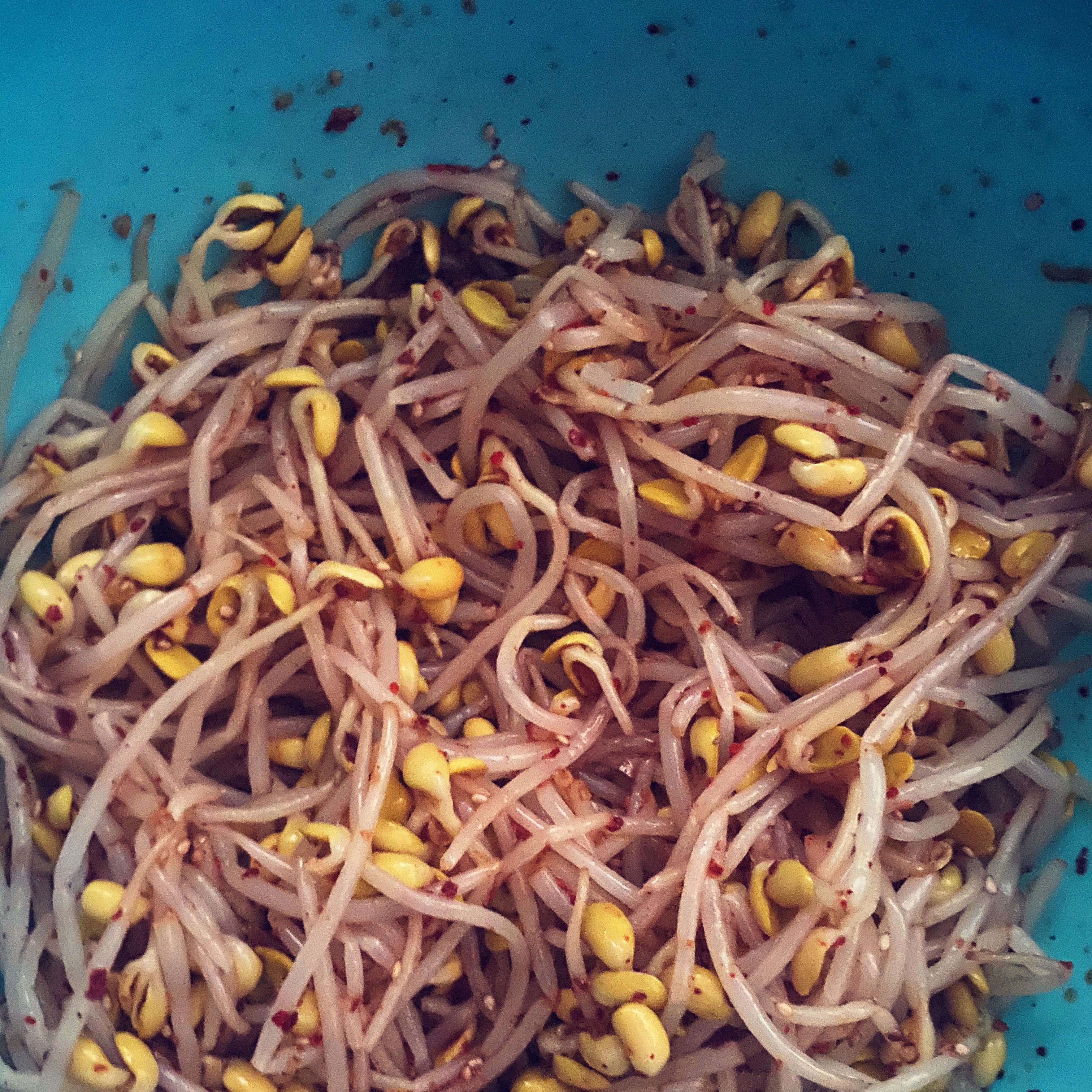 콩나물무침凉拌豆芽朝鲜族日常小菜的做法 步骤5