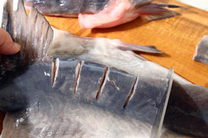 ㊙️可媲美探鱼的烤鮰鱼❗️鲜香滑嫩、刺又少、巨好吃😋的做法 步骤5