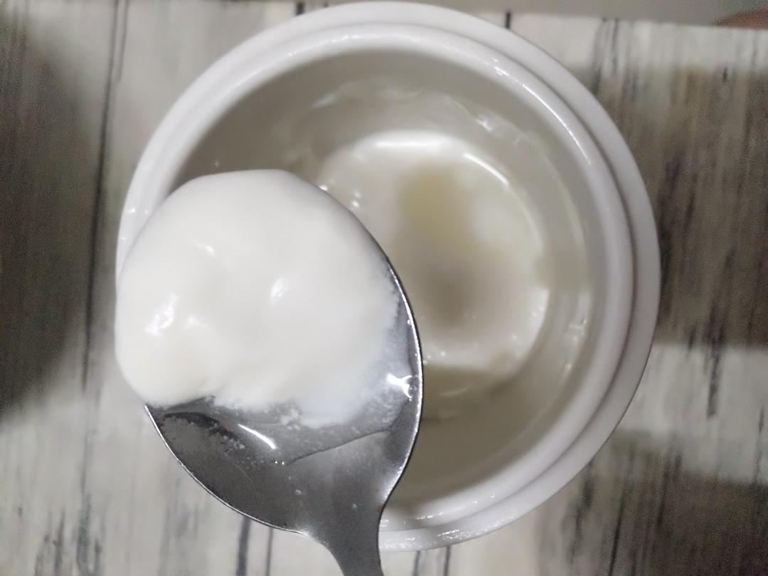自制酸奶