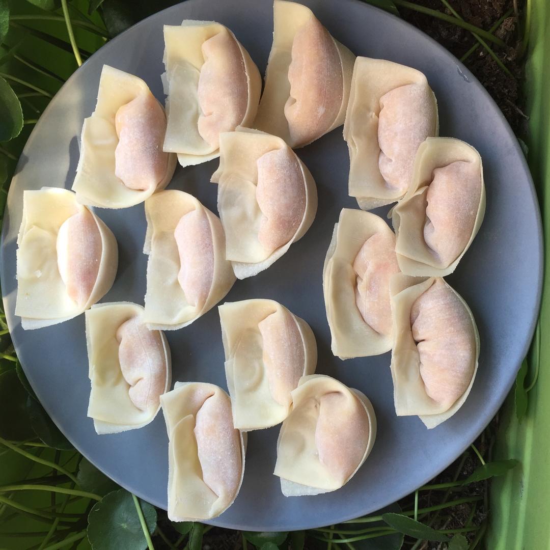虾仁猪肉胡萝卜馄饨-附剥活虾技巧.几种馄饨包法