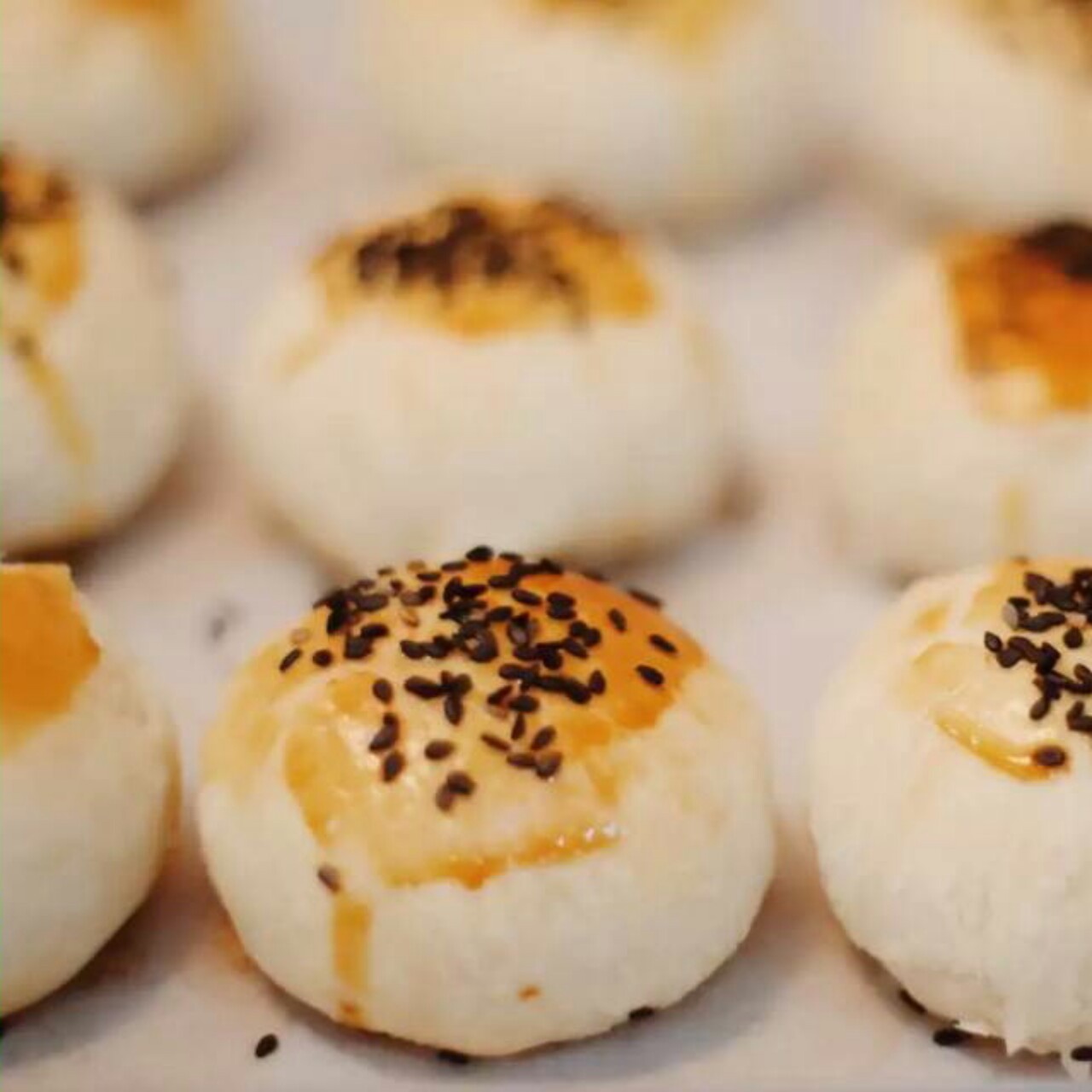 泳式鲜肉榨菜月饼