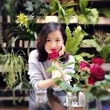 shen-Joy