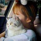 爱做饭的小趴菜