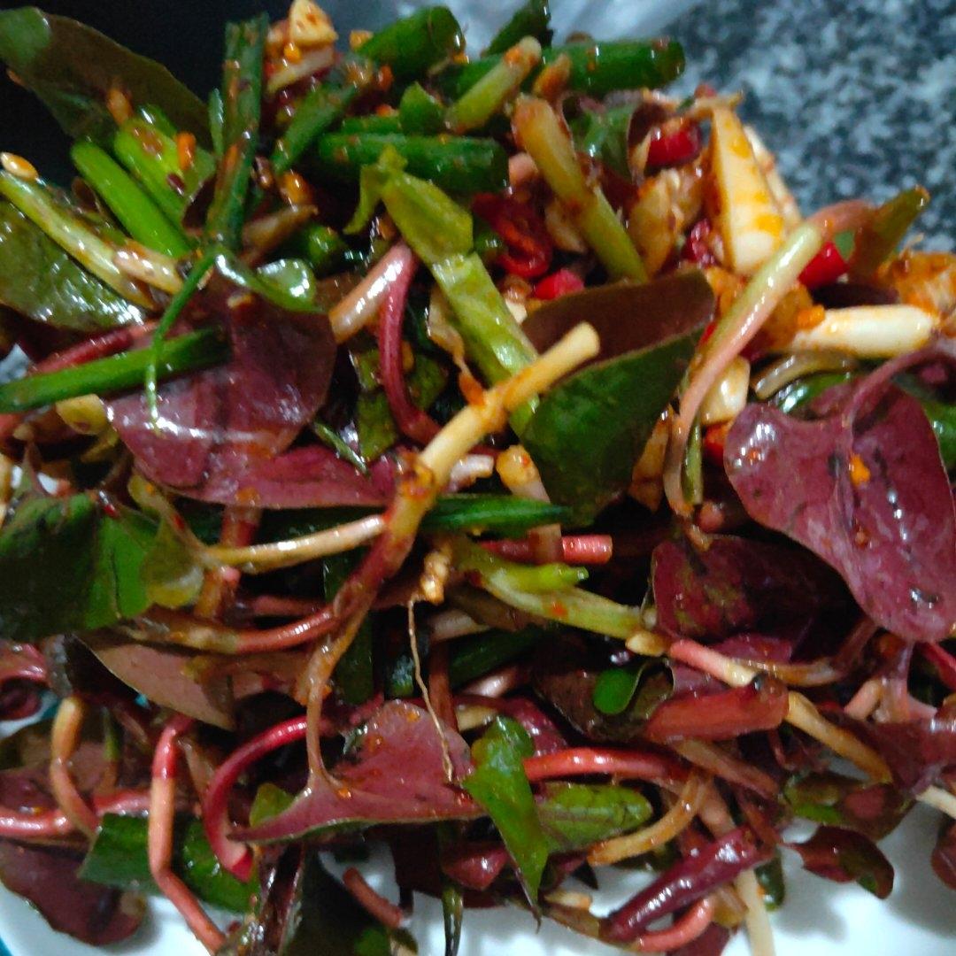 正宗川味凉拌折耳根