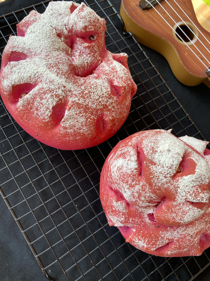 火龙果乳酪软欧