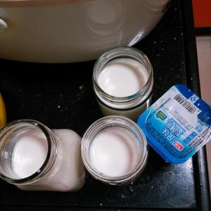超级简单省电自制酸奶的做法 步骤2