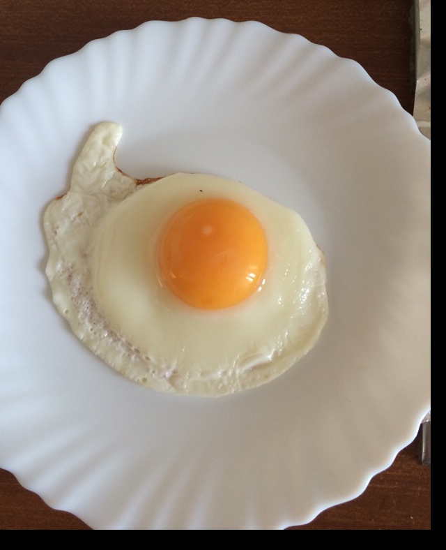 【熊记】太阳蛋