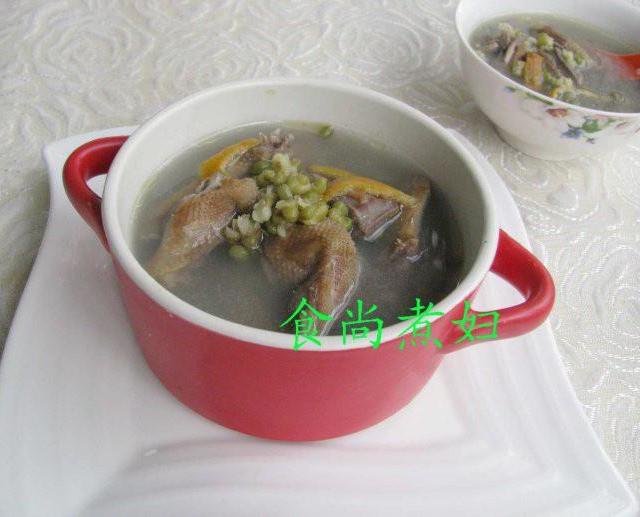 绿豆陈皮鸽子汤的做法