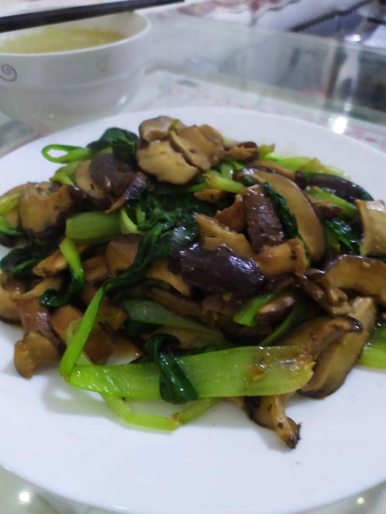 鲜美无比的蚝油香菇