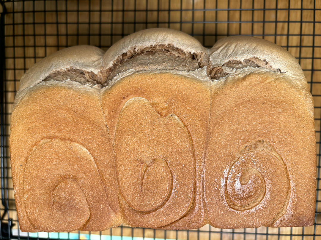 夺命软吐司(๑´ڡ`๑)超软拉丝极速方便的一次发酵吐司