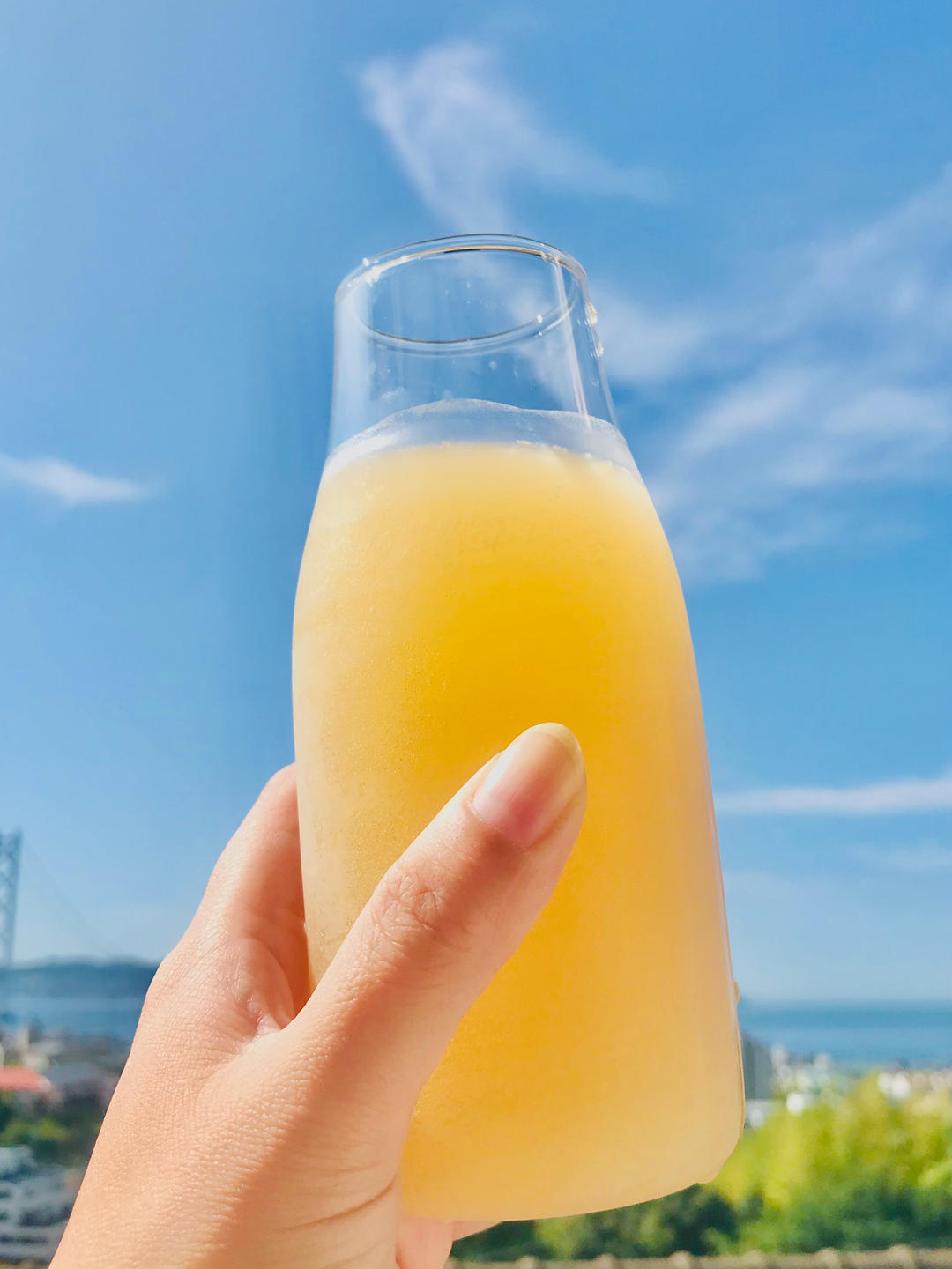 格瓦斯·自制碳酸饮料·消耗吐司🍞