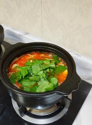 番茄金针菇豆腐汤～太太乐鲜鸡汁快手菜的做法 步骤14