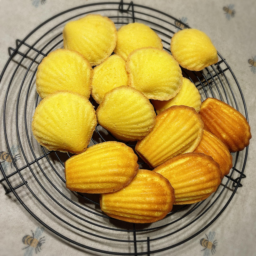 《Tinrry+》柠檬玛德琳