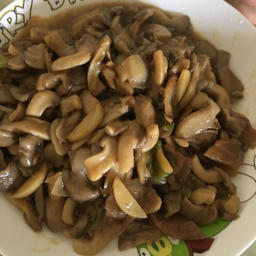 【下饭快手菜】蚝油秀珍菇