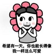 总是失踪的豆豆