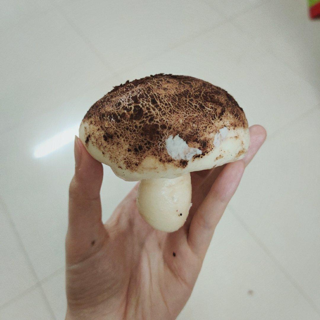 蘑菇包