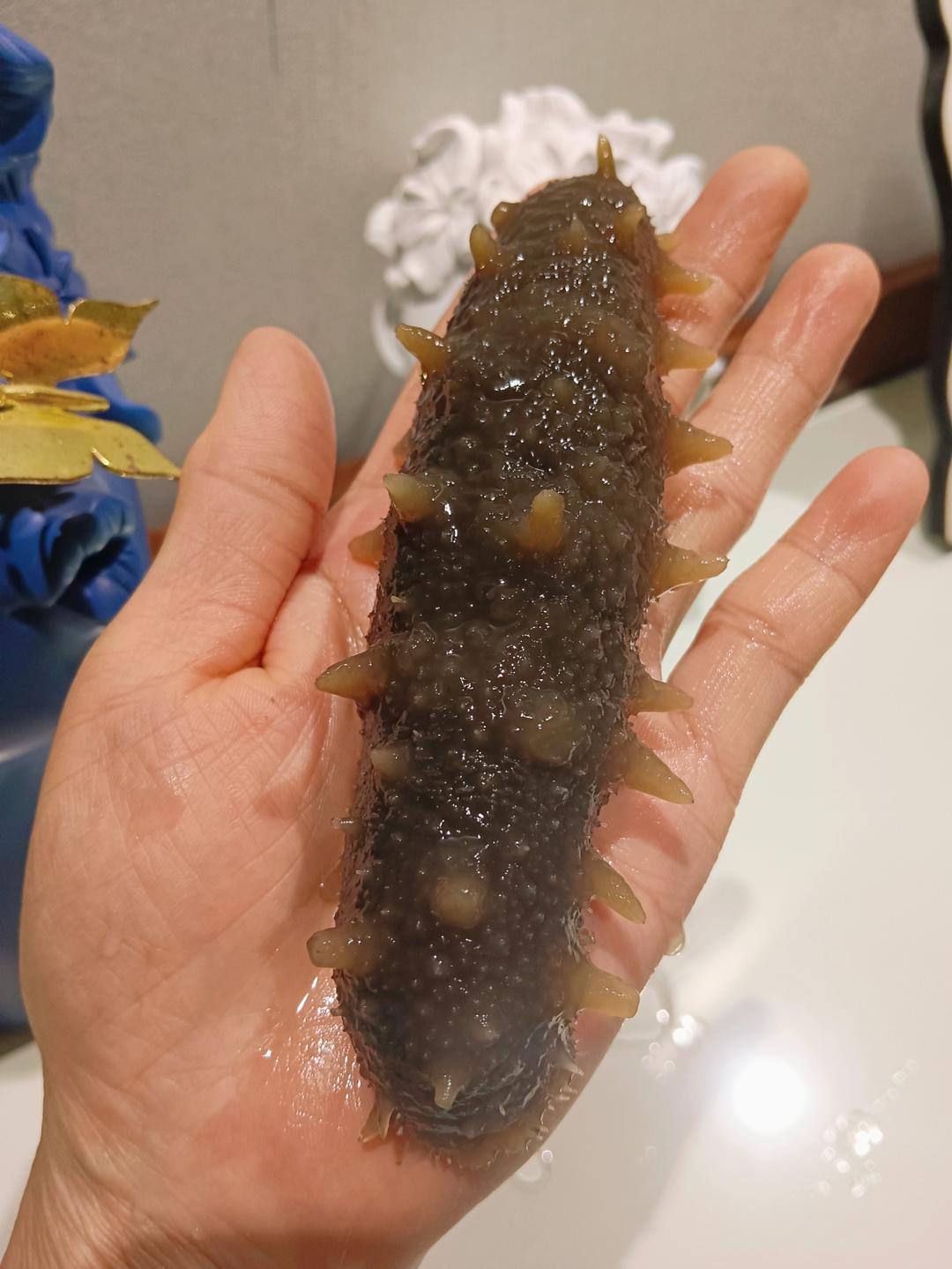 海参泡发攻略