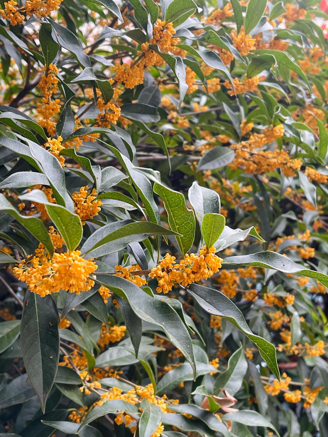 我的花花世界………