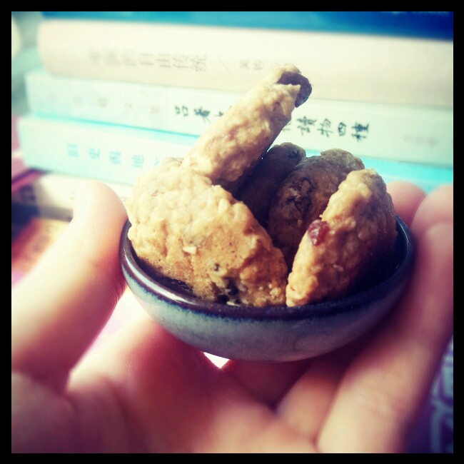 完美软版葡萄干燕麦饼干（超级好吃啊）