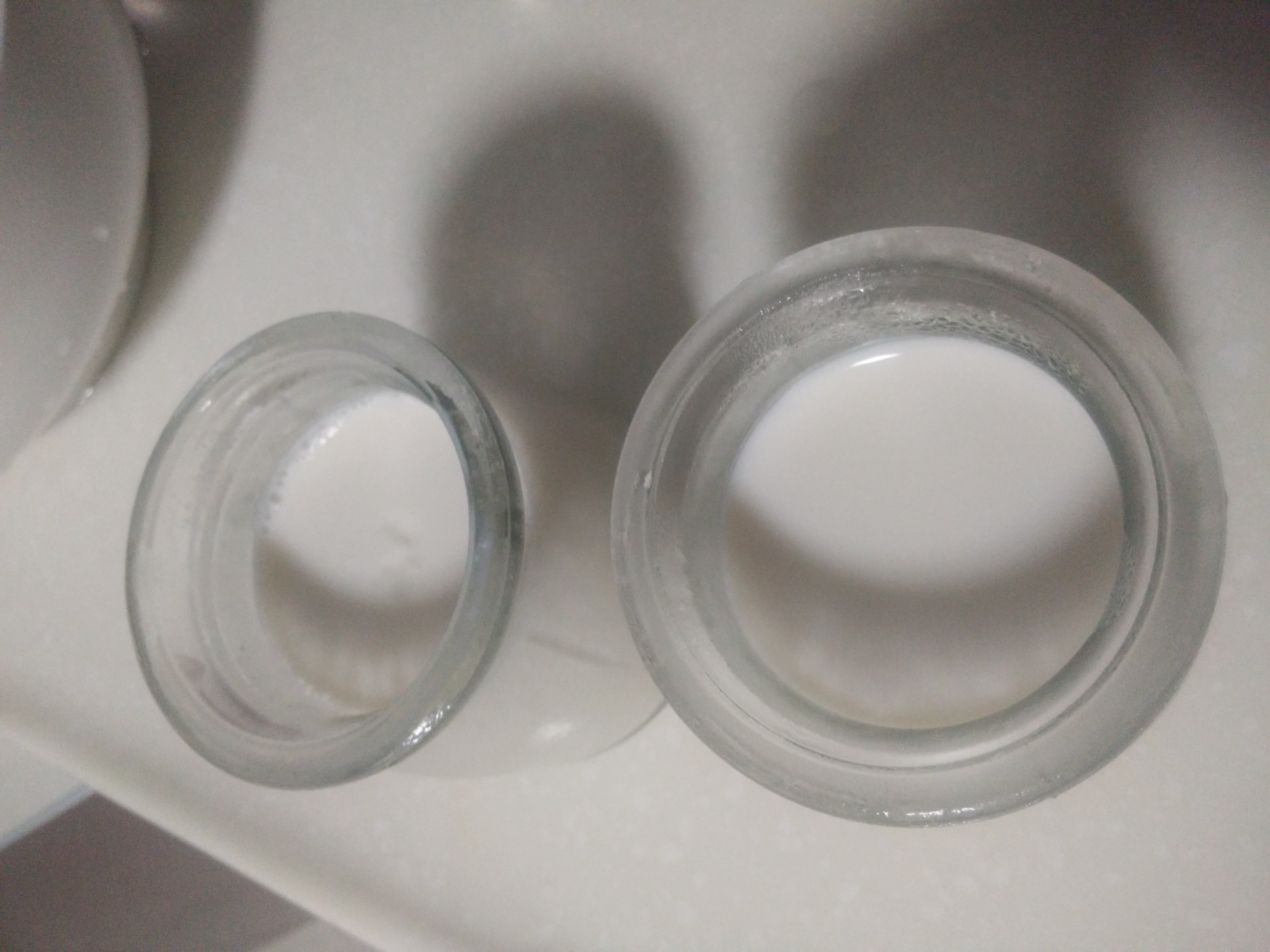 香草牛奶冻 Milk Jelly