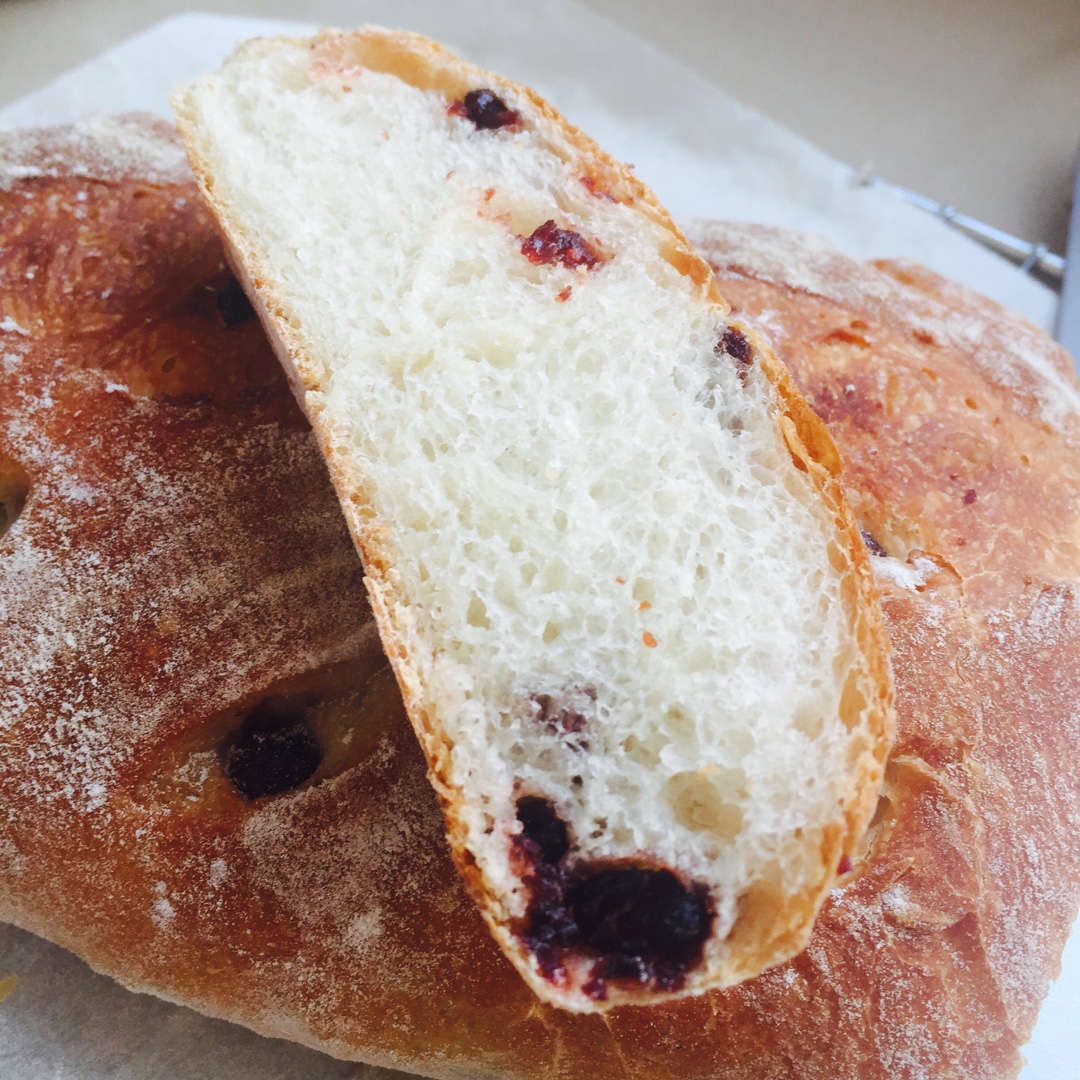 免揉迷你吐司（藤田千秋）