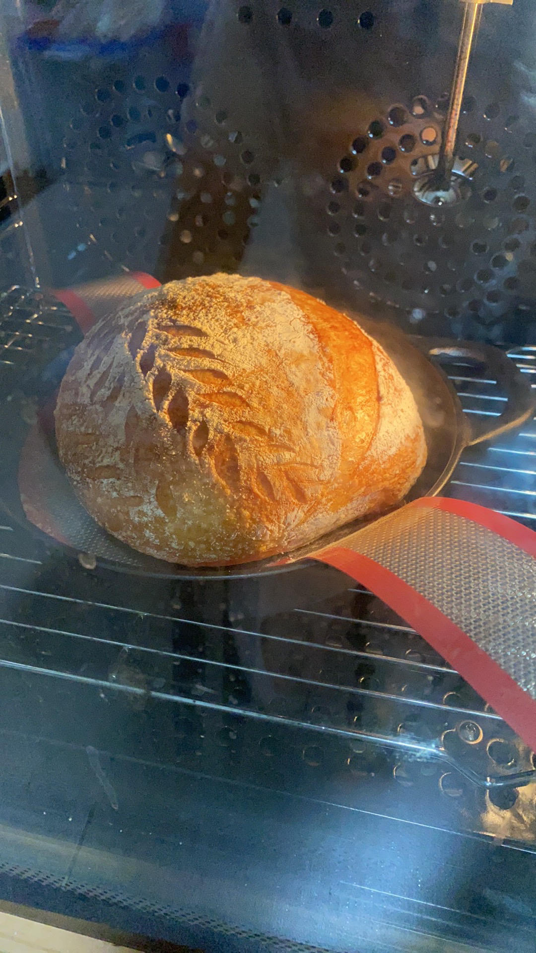 视频教程 天然酵种欧包 基础配方＆制作流程