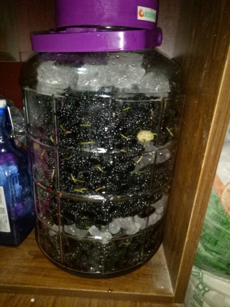 桑葚酒