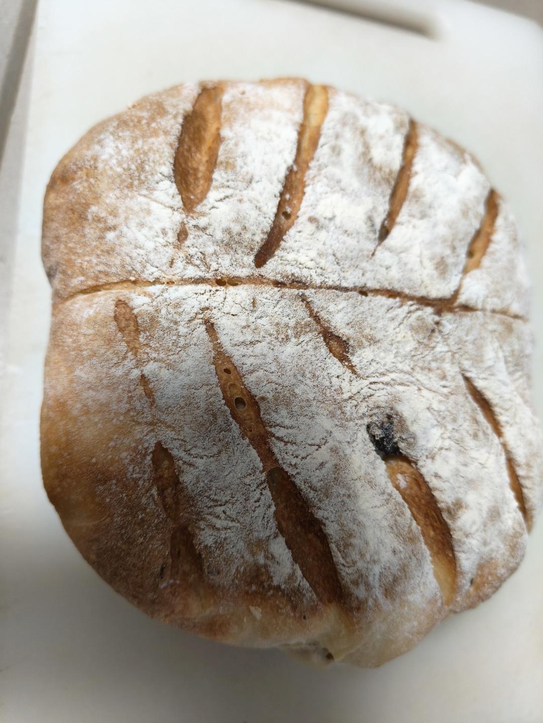 巨简单的隔夜发酵普通面粉欧包