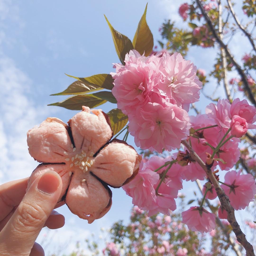 【桃花酥】