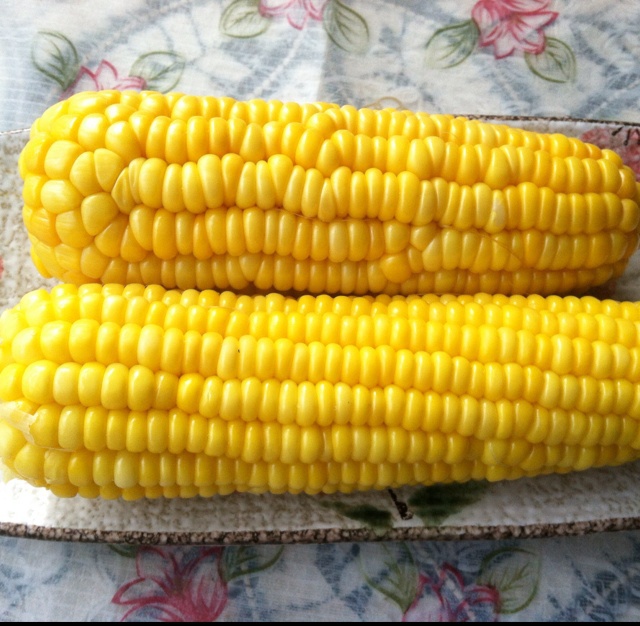 煮玉米