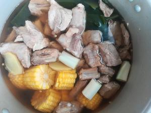 海带玉米胡萝卜排骨汤的做法 步骤7