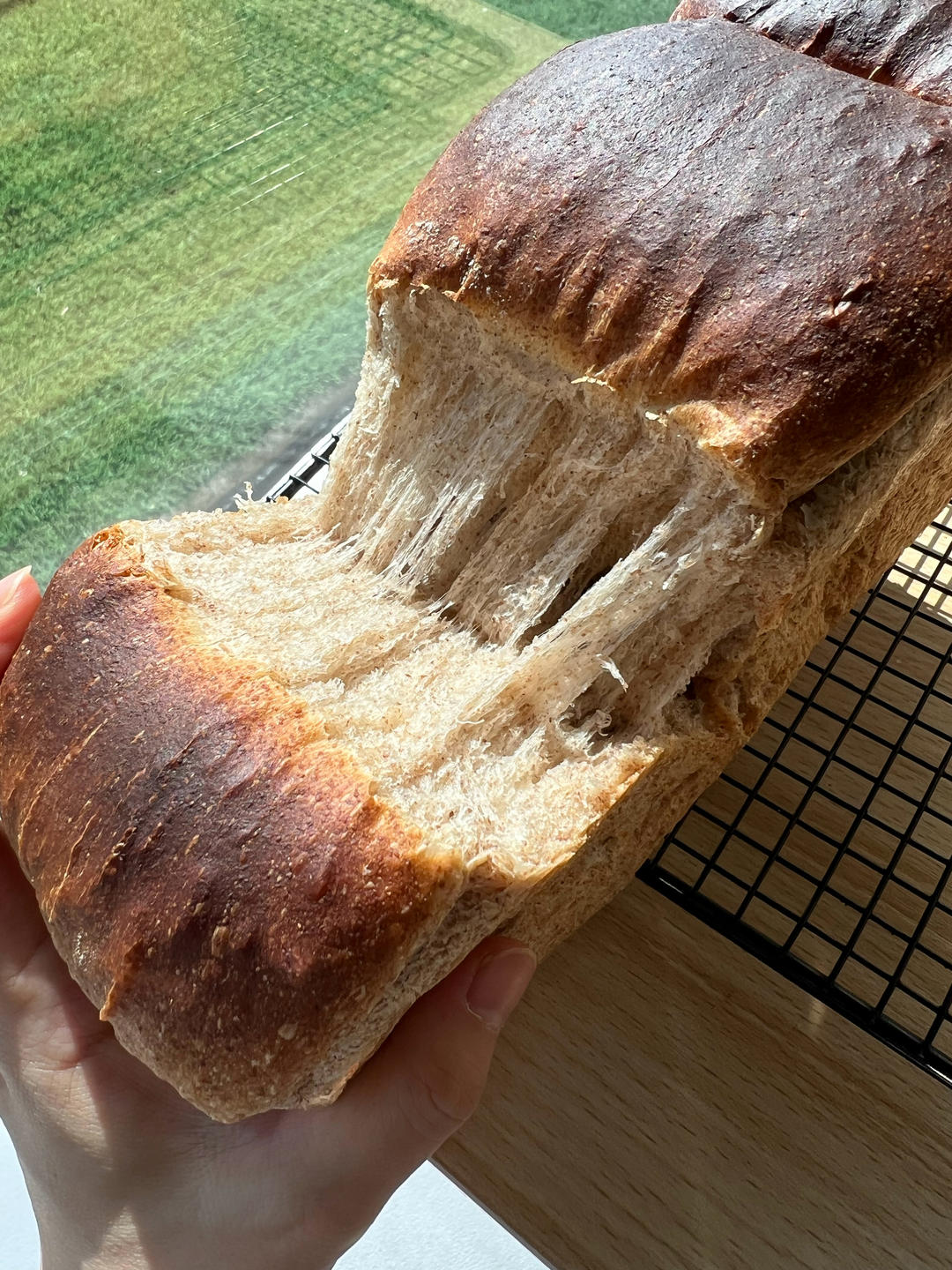 试过无数全麦吐司，还是这款40%全麦生吐司最好吃！