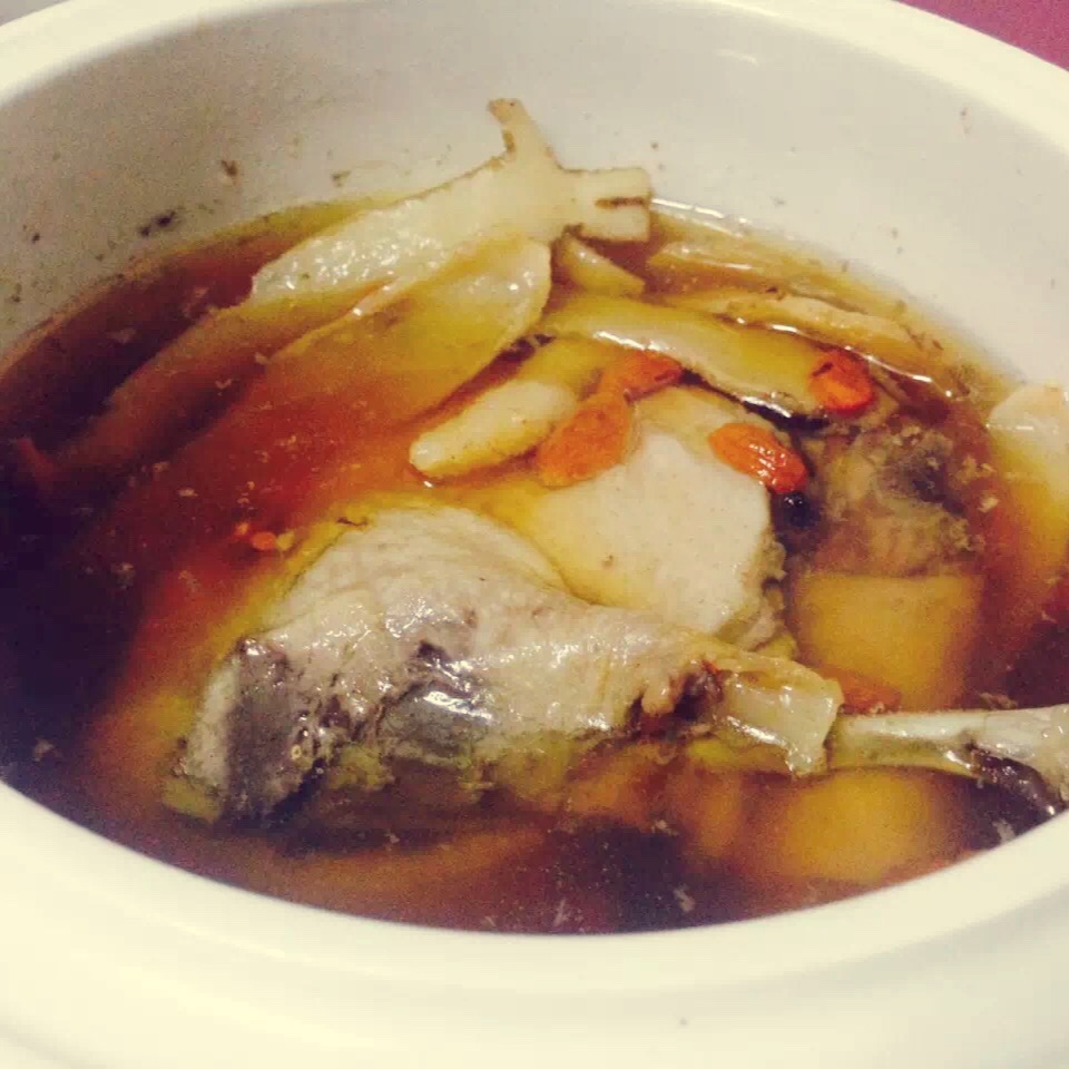 玉竹沙参老鸭汤