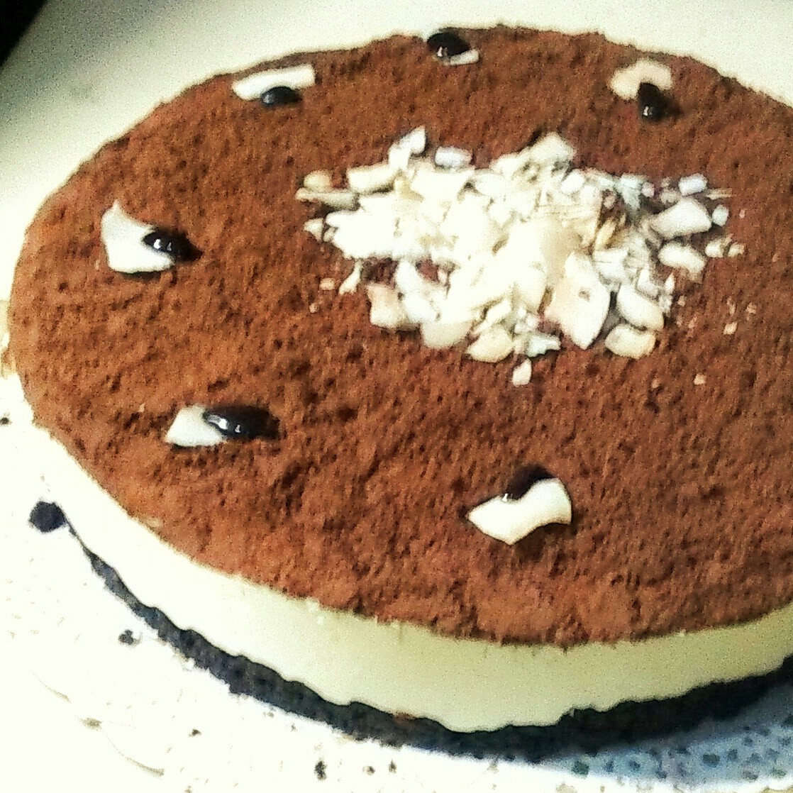 冻酸奶芝士蛋糕