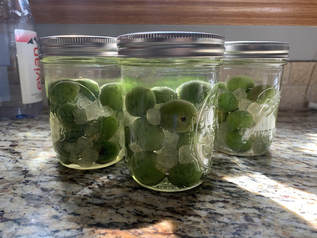 【青梅酒】梅子的沉醉时光（已填坑）