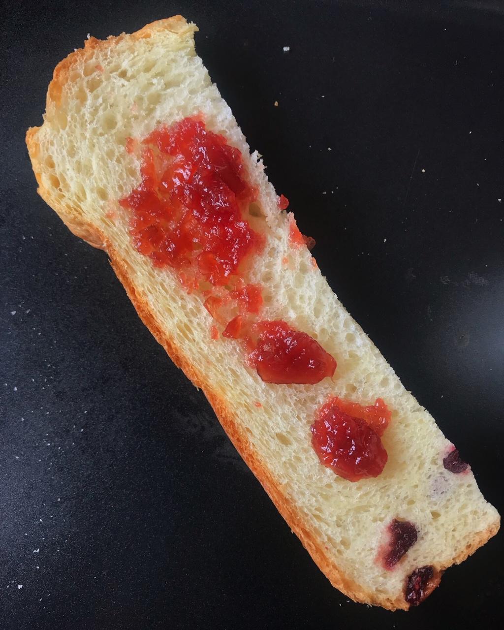 酸奶提子吐司（东陵面包机版）