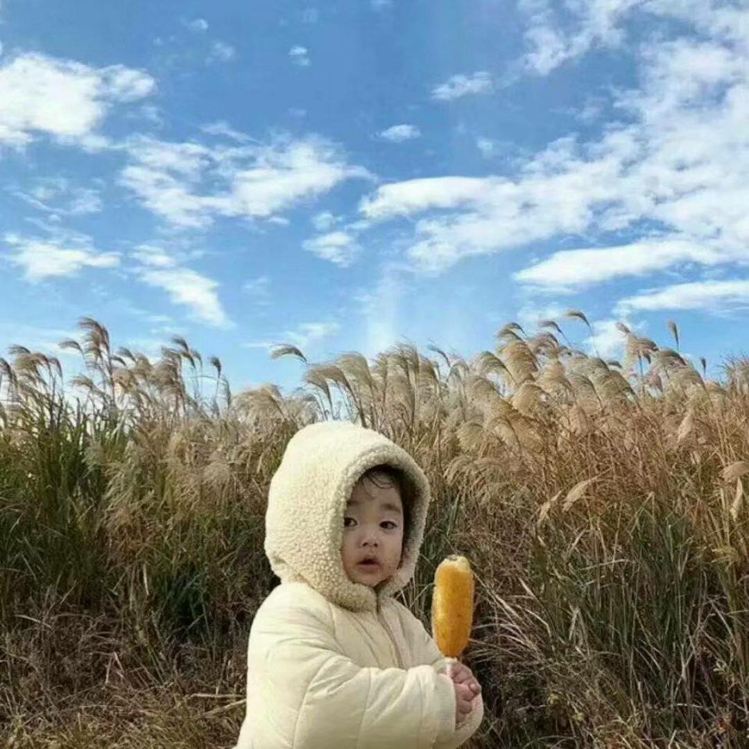 逗比的老太婆