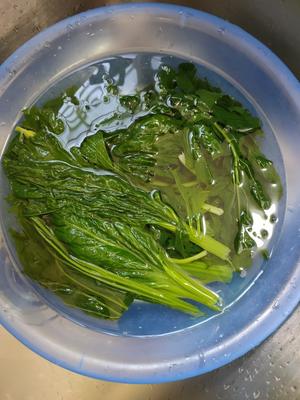 清炒翠绿芥菜的做法 步骤1