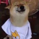 橘橘橘橘宝