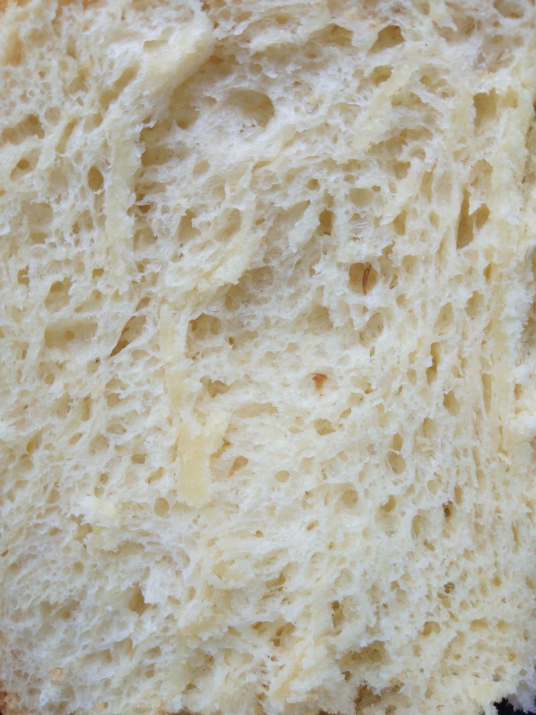 东菱面包机做奶香面包