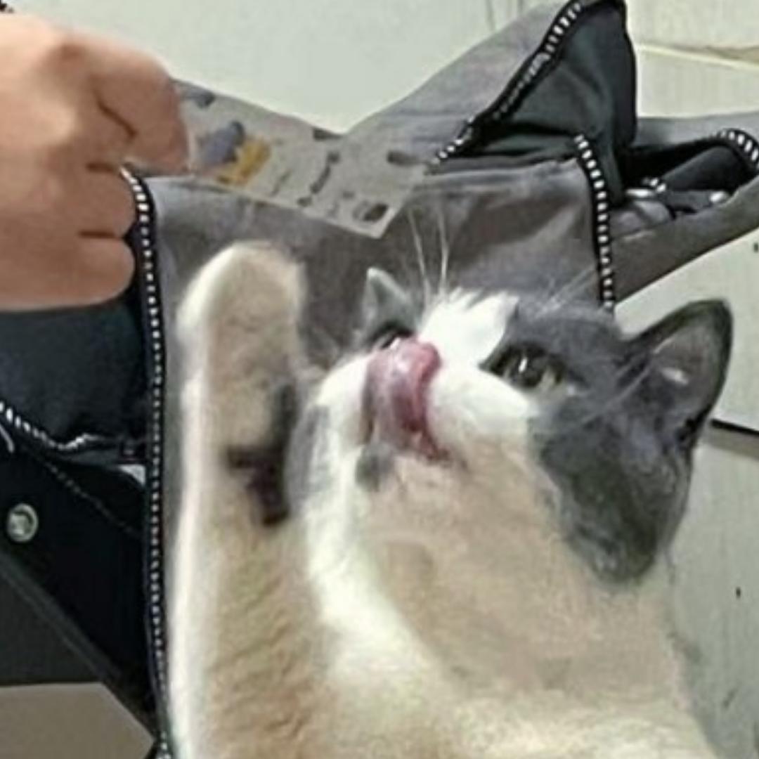 努力减肥的米奇