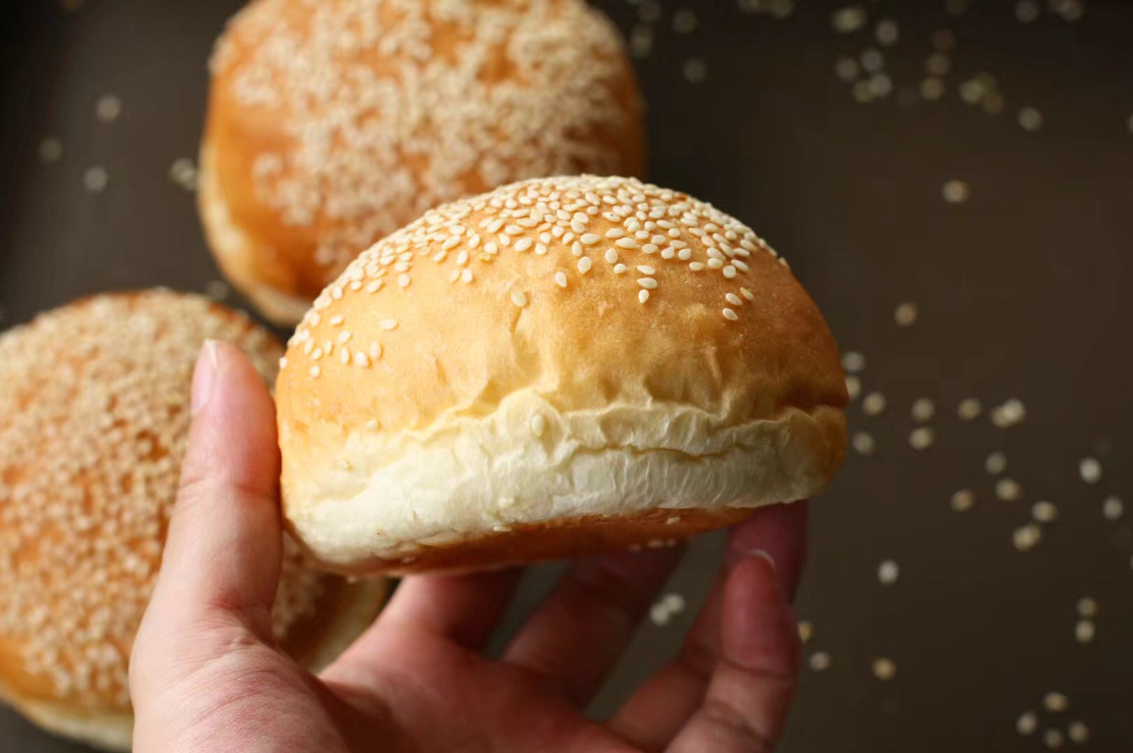 汉堡面包/面坯（波兰种）的做法