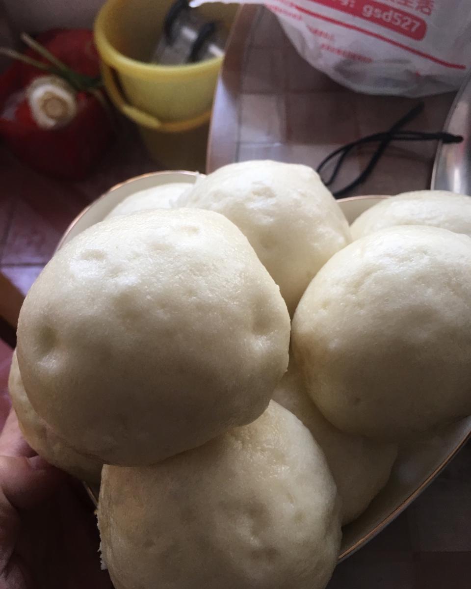 北方老面馒头攻略~从面粉起种开始做