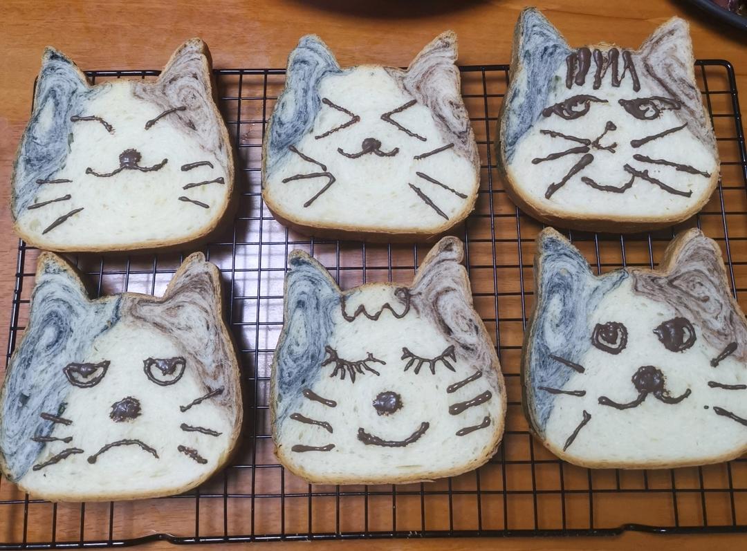 🐈风和日丽🐱可爱猫咪吐司