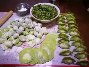 翡翠白菜饺子的做法 步骤4