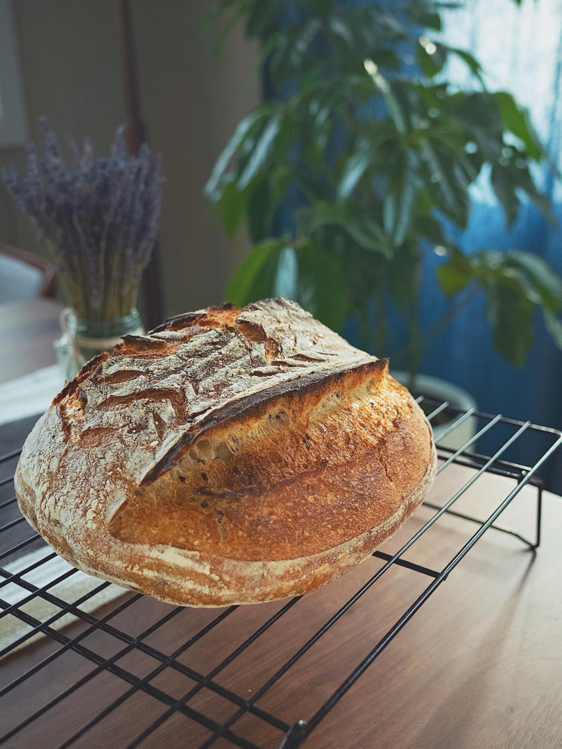 【Tartine Bread】天然酵种黑麦乡村欧包