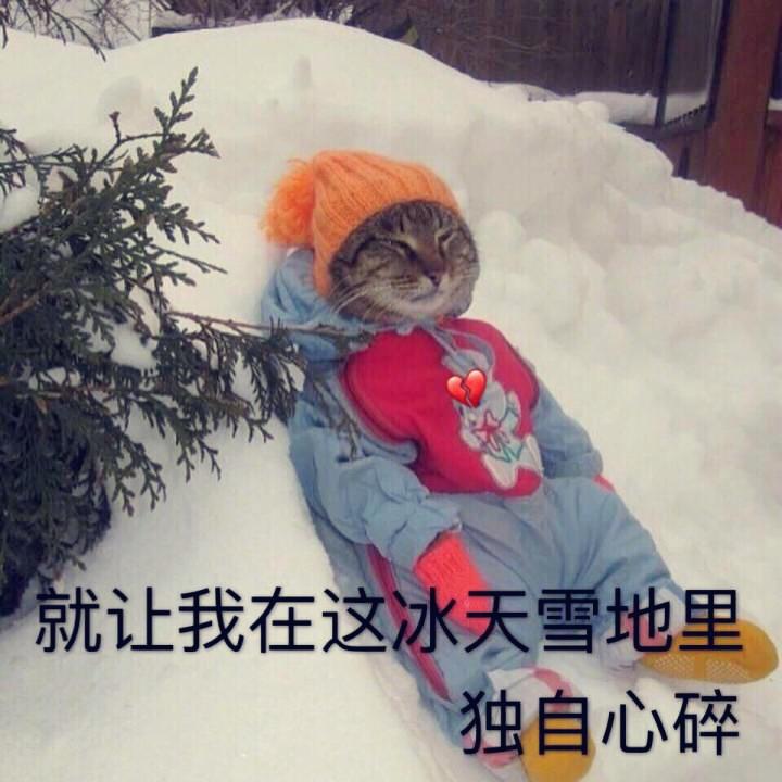 小肥鱼要减肥了