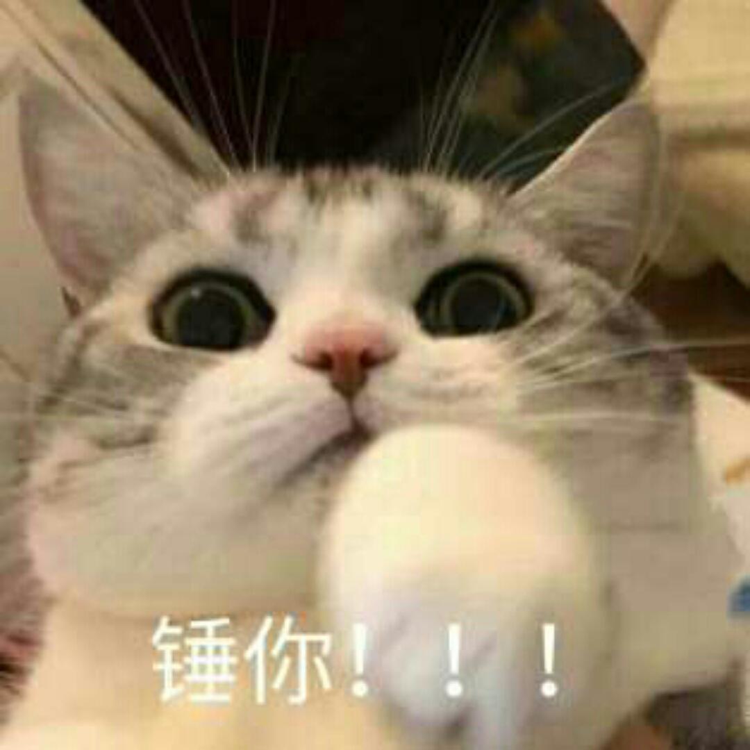 倩倩大王后