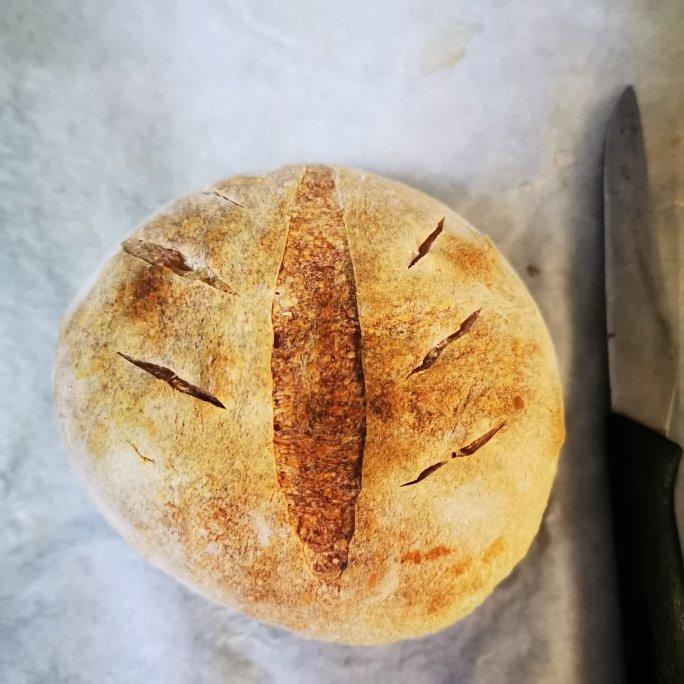 《割口发烧友的面包》—— 与基本配方配比相同的小法包（即发干酵母快手版6）